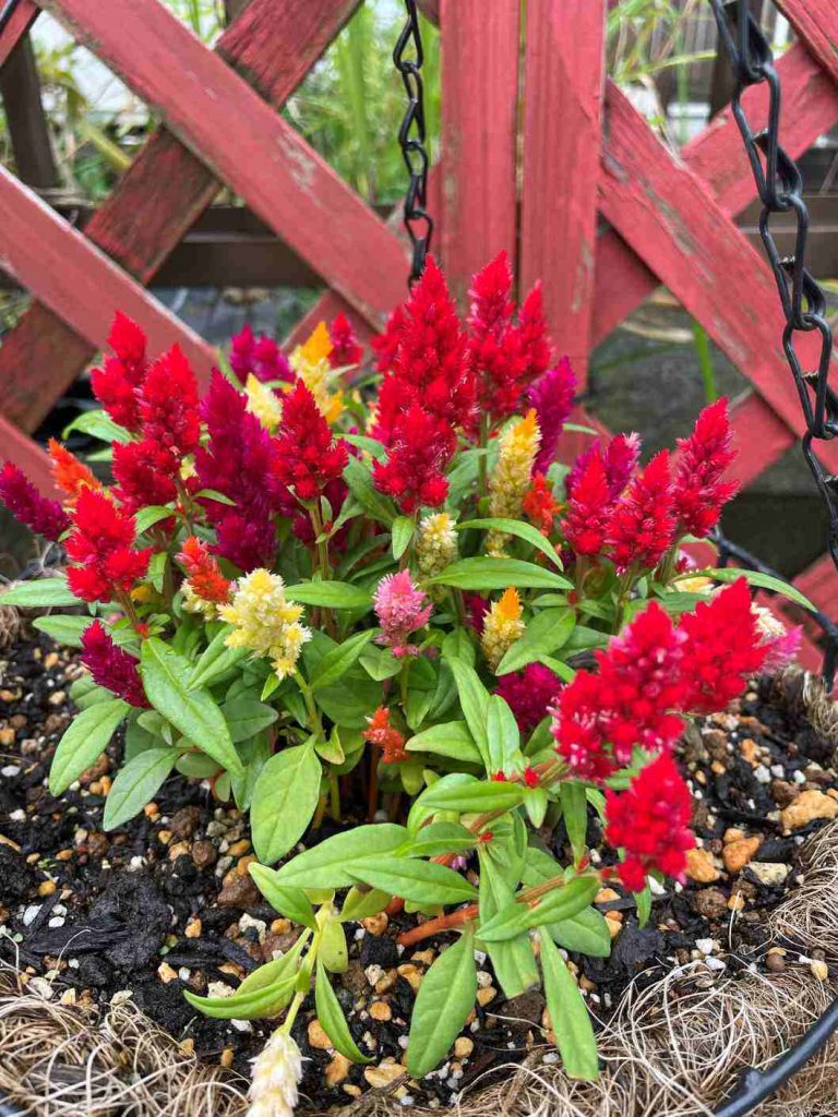 訪問マッサージつくし堂