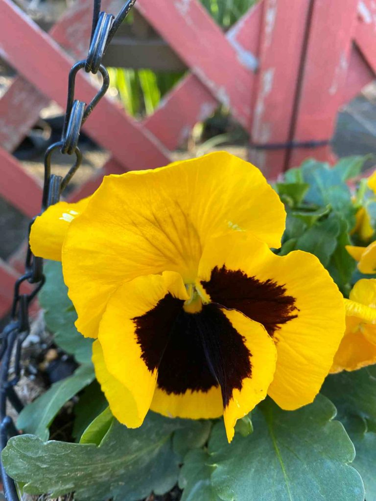 訪問マッサージつくし堂